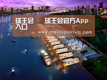 案例展示八