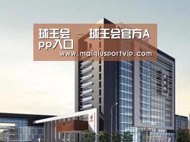 案例展示七