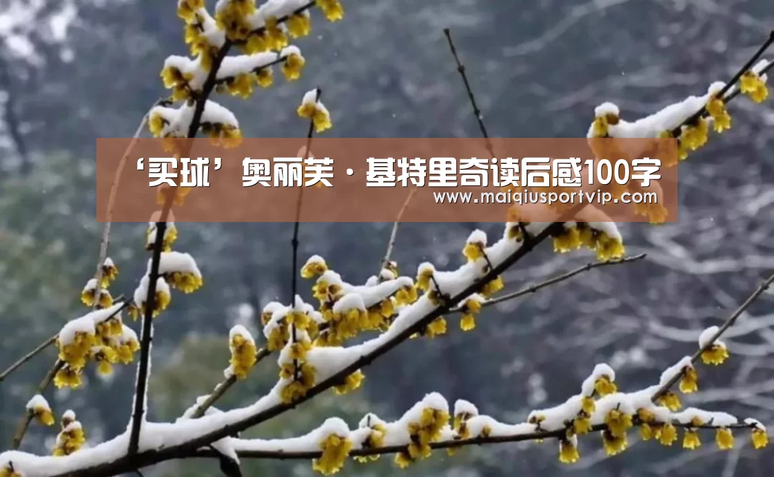 ‘买球’奥丽芙·基特里奇读后感100字(图2) 买球app官网