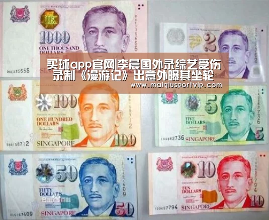 买球app官网|李晨国外录综艺受伤 录制《漫游记》出意外曝其坐轮椅照(图2) 买球官网